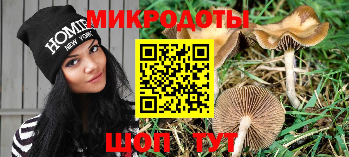 Псилоцибиновые грибы ЛСД  как найти наркотики  Гай  Вход с VPN 