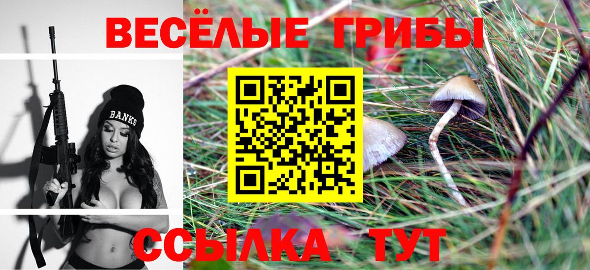 Псилоцибиновые грибы Magic Shrooms Гай